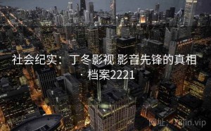 社会纪实：丁冬影视 影音先锋的真相 · 档案2221