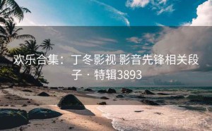 欢乐合集：丁冬影视 影音先锋相关段子 · 特辑3893