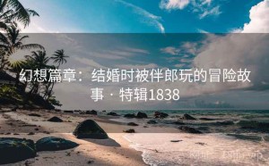 幻想篇章：结婚时被伴郎玩的冒险故事 · 特辑1838