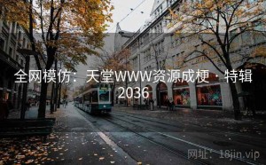 全网模仿：天堂WWW资源成梗 · 特辑2036