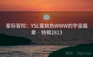星际冒险：YSL蜜桃色WWW的宇宙篇章 · 特辑2813
