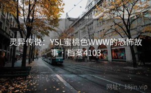 灵异传说：YSL蜜桃色WWW的恐怖故事 · 档案4103