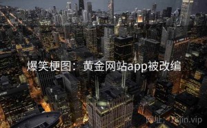 爆笑梗图：黄金网站app被改编