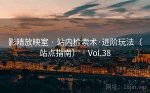 影晴放映室 · 站内检索术·进阶玩法（站点指南） · Vol.38