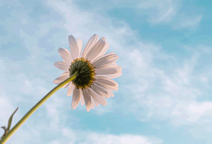 平行时空中的打扑克牌两人剧烈运动视频 · 特辑1097