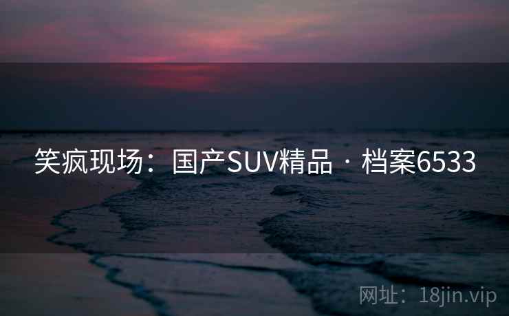 笑疯现场：国产SUV精品 · 档案6533