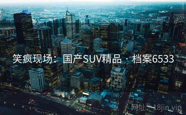 笑疯现场：国产SUV精品 · 档案6533