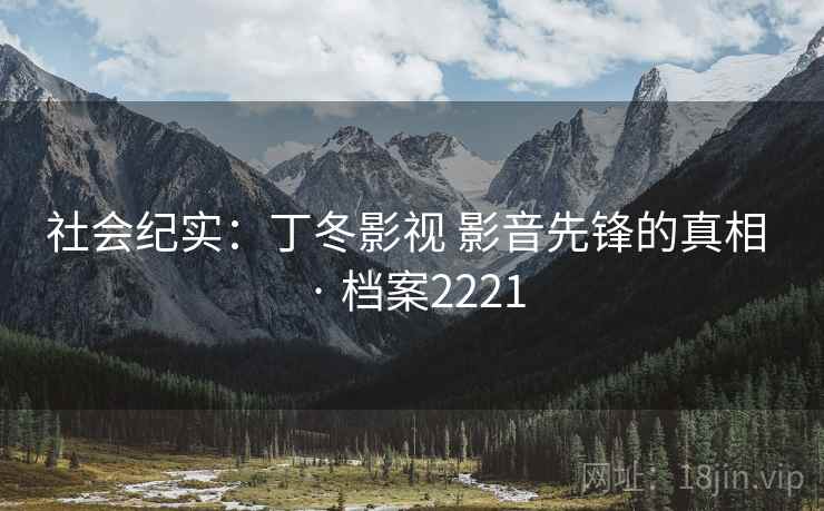 社会纪实:丁冬影视 影音先锋的真相 · 档案2221 社会纪实:丁冬影视 影音先锋的真相 · 档案2221