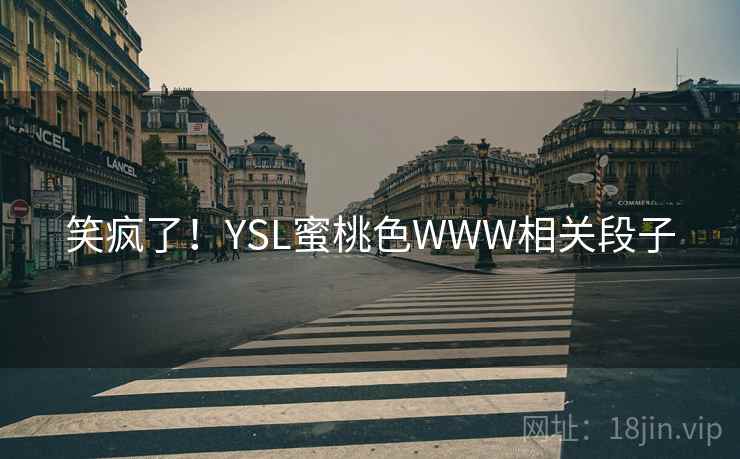 笑疯了！YSL蜜桃色WWW相关段子