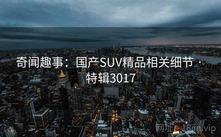 奇闻趣事：国产SUV精品相关细节 · 特辑3017